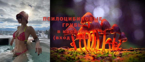 MDMA Белокуриха