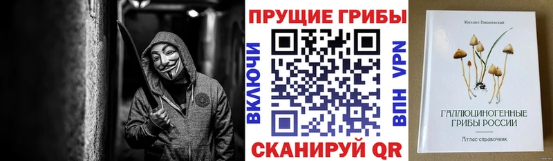 цены Велиж Псилоцибиновые грибы Magic Shrooms